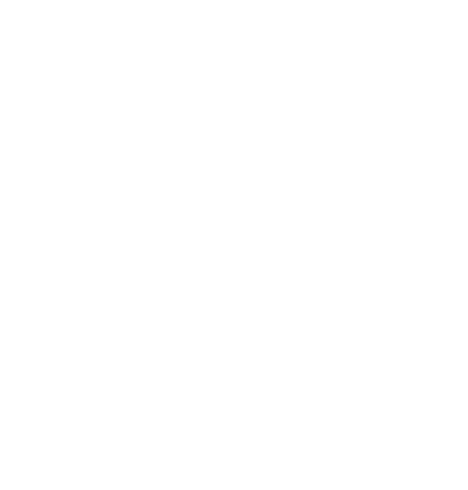 Saucer King